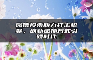 微信投票助力打击犯罪，创新逮捕方式引领时代