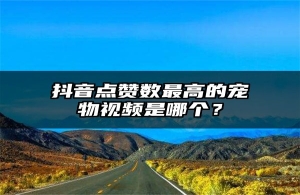 抖音点赞数最高的宠物视频是哪个？