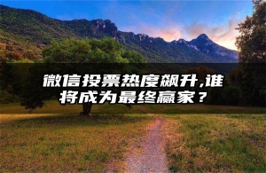 微信投票热度飙升,谁将成为最终赢家？