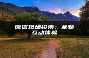 微信现场投票：全新互动体验