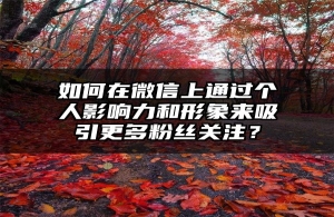 如何在微信上通过个人影响力和形象来吸引更多粉丝关注？