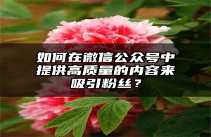 如何在微信公众号中提供高质量的内容来吸引粉丝？