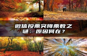 微信投票突降票数之谜：原因何在？