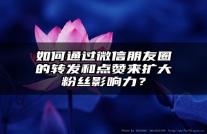 如何通过微信朋友圈的转发和点赞来扩大粉丝影响力？