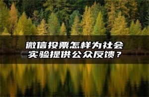 微信投票怎样为社会实验提供公众反馈？