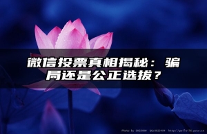 微信投票真相揭秘：骗局还是公正选拔？