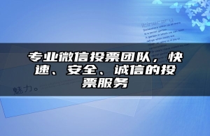 专业微信投票团队，快速、安全、诚信的投票服务