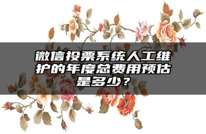 微信投票系统人工维护的年度总费用预估是多少？