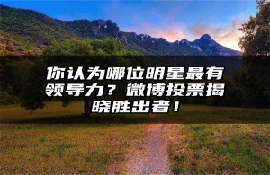 你认为哪位明星最有领导力？微博投票揭晓胜出者！