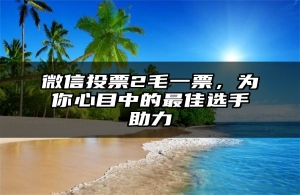 微信投票2毛一票，为你心目中的最佳选手助力