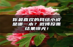 你最喜欢的网络小说是哪一本？微博投票结果曝光！