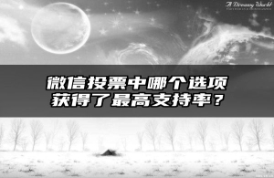 微信投票中哪个选项获得了最高支持率？