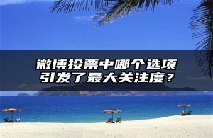 微博投票中哪个选项引发了最大关注度？