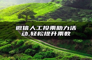 微信人工投票助力活动,轻松提升票数