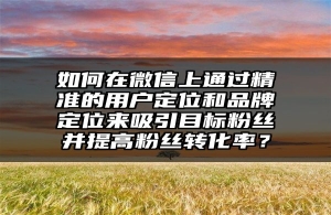 如何在微信上通过精准的用户定位和品牌定位来吸引目标粉丝并提高粉丝转化率？