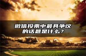 微信投票中最具争议的话题是什么？