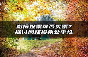 微信投票可否买票？探讨网络投票公平性