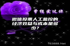 微信投票人工监控的经济效益与成本是多少？