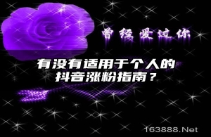 有没有适用于个人的抖音涨粉指南？