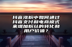 抖音涨粉中如何通过抖音支付和电商模式来增加粉丝的转化和用户价值？