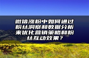 微信涨粉中如何通过粉丝洞察和数据分析来优化营销策略和粉丝互动效果？