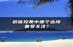 微信投票中哪个选项备受关注？