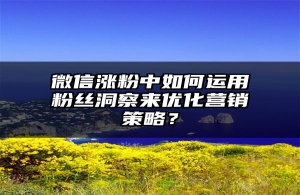 微信涨粉中如何运用粉丝洞察来优化营销策略？