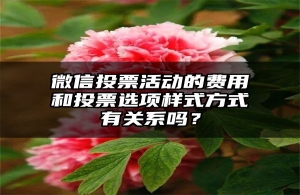 微信投票活动的费用和投票选项样式方式有关系吗？