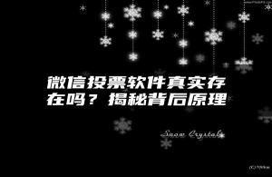 微信投票软件真实存在吗？揭秘背后原理