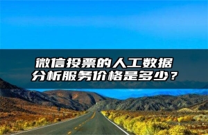 微信投票的人工数据分析服务价格是多少？