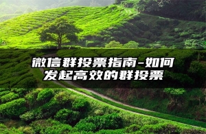 微信群投票指南-如何发起高效的群投票