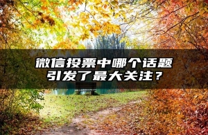 微信投票中哪个话题引发了最大关注？