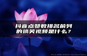 抖音点赞数排名前列的搞笑视频是什么？