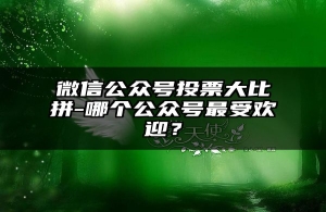 微信公众号投票大比拼-哪个公众号最受欢迎？