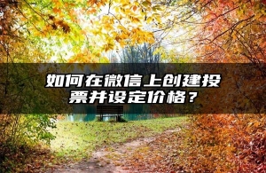 如何在微信上创建投票并设定价格？