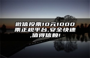 微信投票10元1000票正规平台,安全快速,值得信赖!