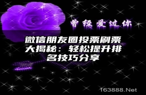 微信朋友圈投票刷票大揭秘：轻松提升排名技巧分享