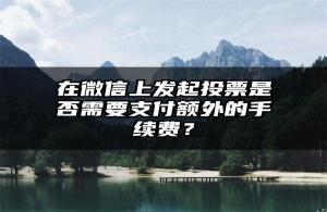 在微信上发起投票是否需要支付额外的手续费？