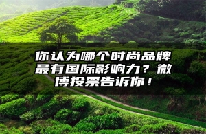 你认为哪个时尚品牌最有国际影响力？微博投票告诉你！