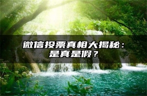 微信投票真相大揭秘：是真是假？