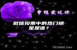 微信投票中的热门明星是谁？