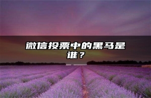 微信投票中的黑马是谁？