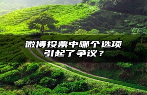 微博投票中哪个选项引起了争议？