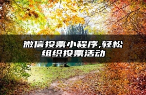 微信投票小程序,轻松组织投票活动