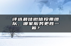 评选最佳微信投票团队，哪家服务更胜一筹？