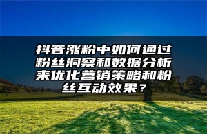 抖音涨粉中如何通过粉丝洞察和数据分析来优化营销策略和粉丝互动效果？