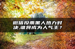 微信投票黑人热力对决,谁将成为人气王？