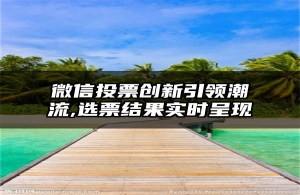 微信投票创新引领潮流,选票结果实时呈现