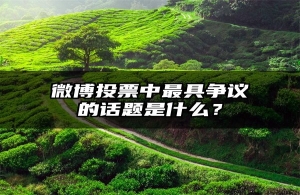 微博投票中最具争议的话题是什么？